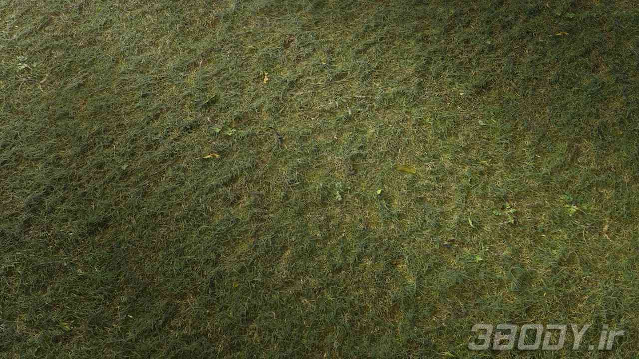 متریال چمن uncut grass عکس 1